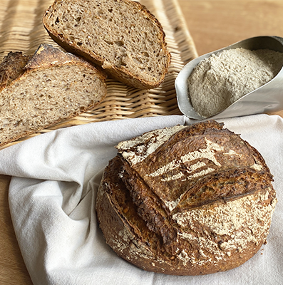 Tourte Pégase